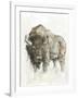American Buffalo II-Ethan Harper-Framed Art Print