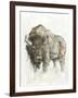 American Buffalo II-Ethan Harper-Framed Art Print