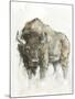 American Buffalo II-Ethan Harper-Mounted Art Print
