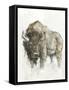 American Buffalo II-Ethan Harper-Framed Stretched Canvas