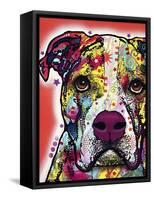 American Bulldog-Dean Russo-Framed Stretched Canvas