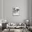 American Bulldog-Barbara Keith-Mounted Giclee Print displayed on a wall