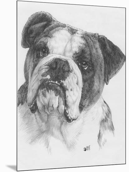 American Bulldog-Barbara Keith-Mounted Giclee Print