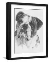 American Bulldog-Barbara Keith-Framed Giclee Print