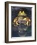 American Bullfrog, Native to USA-David Northcott-Framed Photographic Print