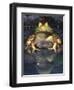 American Bullfrog, Native to USA-David Northcott-Framed Photographic Print