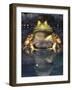 American Bullfrog, Native to USA-David Northcott-Framed Photographic Print