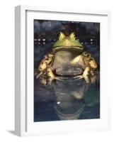 American Bullfrog, Native to USA-David Northcott-Framed Photographic Print