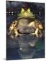 American Bullfrog, Native to USA-David Northcott-Mounted Photographic Print