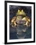 American Bullfrog, Native to USA-David Northcott-Framed Photographic Print