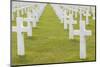 American Cemetery and Memorial, Colleville Sur Mer, Normandy, France-Walter Bibikow-Mounted Photographic Print