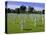 American Cemetery, Colleville, Normandy D-Day Landings, Normandie (Normandy), France, Europe-Gavin Hellier-Stretched Canvas
