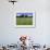 American Cemetery, Colleville, Normandy D-Day Landings, Normandie (Normandy), France, Europe-Gavin Hellier-Framed Photographic Print displayed on a wall