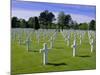 American Cemetery, Colleville, Normandy D-Day Landings, Normandie (Normandy), France, Europe-Gavin Hellier-Mounted Photographic Print