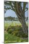 American Cemetery, Colleville, Normandy, France-Jim Engelbrecht-Mounted Photographic Print