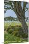 American Cemetery, Colleville, Normandy, France-Jim Engelbrecht-Mounted Photographic Print