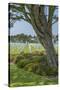 American Cemetery, Colleville, Normandy, France-Jim Engelbrecht-Stretched Canvas