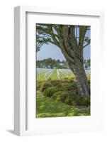 American Cemetery, Colleville, Normandy, France-Jim Engelbrecht-Framed Photographic Print