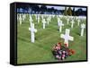 American Cemetery (WWII), Omaha Beach, Colleville-Sur-Mer, Calvados, Normandy, France-Guy Thouvenin-Framed Stretched Canvas