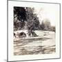 American Civil War: Burnside Bridge-null-Mounted Giclee Print