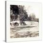 American Civil War: Burnside Bridge-null-Stretched Canvas