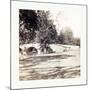 American Civil War: Burnside Bridge-null-Mounted Giclee Print