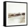 American Civil War: Captain J. M. Knap's Pennsylvania Independent Battery E Light Artillery Approac-null-Framed Stretched Canvas