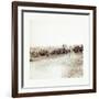 American Civil War: Captain J. M. Knap's Pennsylvania Independent Battery E Light Artillery Approac-null-Framed Giclee Print