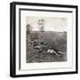 American Civil War: Gathered Together for Burial after the Battle of Antietam-null-Framed Giclee Print