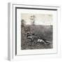 American Civil War: Gathered Together for Burial after the Battle of Antietam-null-Framed Giclee Print