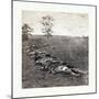 American Civil War: Gathered Together for Burial after the Battle of Antietam-null-Mounted Giclee Print