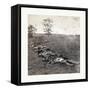 American Civil War: Gathered Together for Burial after the Battle of Antietam-null-Framed Stretched Canvas