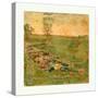 American Civil War: Laid Out for Burial at Antietam-null-Stretched Canvas