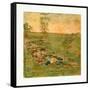 American Civil War: Laid Out for Burial at Antietam-null-Framed Stretched Canvas