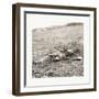 American Civil War: the Horrors of War-null-Framed Giclee Print