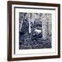 American Civil War: the Slaughter Pen at Gettysburg-null-Framed Giclee Print