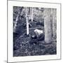 American Civil War: the Slaughter Pen at Gettysburg-null-Mounted Giclee Print