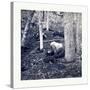 American Civil War: the Slaughter Pen at Gettysburg-null-Stretched Canvas