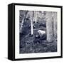 American Civil War: the Slaughter Pen at Gettysburg-null-Framed Stretched Canvas