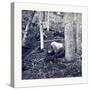 American Civil War: the Slaughter Pen at Gettysburg-null-Stretched Canvas