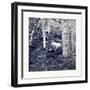 American Civil War: the Slaughter Pen at Gettysburg-null-Framed Giclee Print