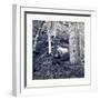 American Civil War: the Slaughter Pen at Gettysburg-null-Framed Giclee Print