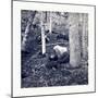 American Civil War: the Slaughter Pen at Gettysburg-null-Mounted Giclee Print