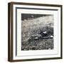 American Civil War: War Effect of a Shell on a Confederate Soldier at Battle of Gettysburg-null-Framed Giclee Print