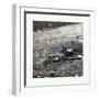 American Civil War: War Effect of a Shell on a Confederate Soldier at Battle of Gettysburg-null-Framed Giclee Print