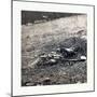 American Civil War: War Effect of a Shell on a Confederate Soldier at Battle of Gettysburg-null-Mounted Giclee Print