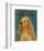 American Cocker Spaniel I-John Golden-Framed Art Print