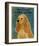 American Cocker Spaniel I-John Golden-Framed Giclee Print