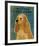 American Cocker Spaniel I-John Golden-Framed Giclee Print