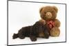 American Cocker Spaniel Puppy and Teddy Bear-Mark Taylor-Mounted Photographic Print